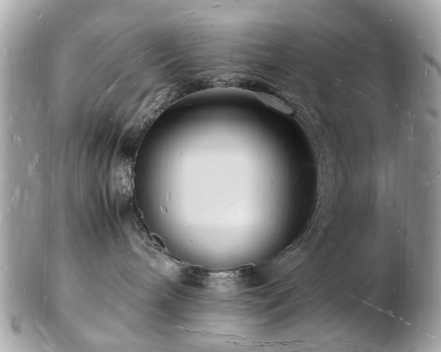 X0000103290240200808291340