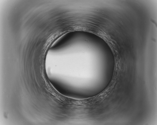 X0000103290241200808291339