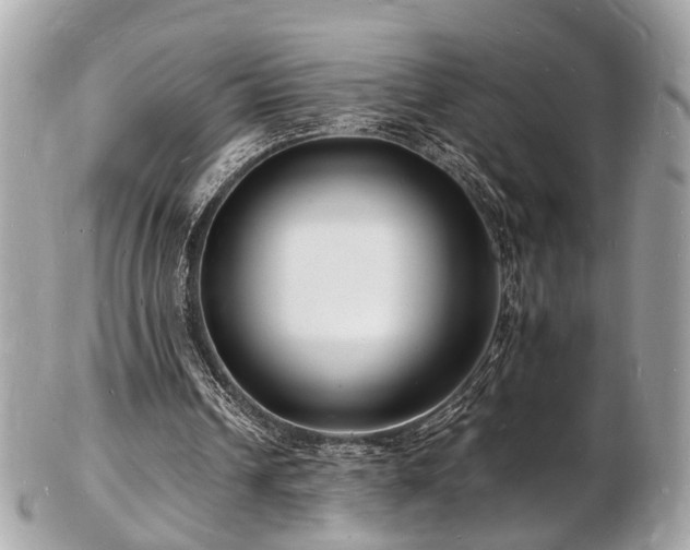 X0000103290242200808291339