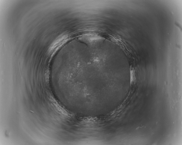 X0000103290243200808291339