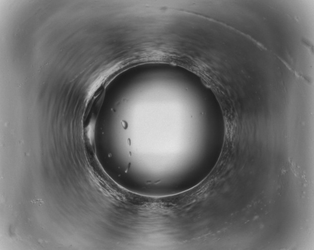 X0000103290244200808291339