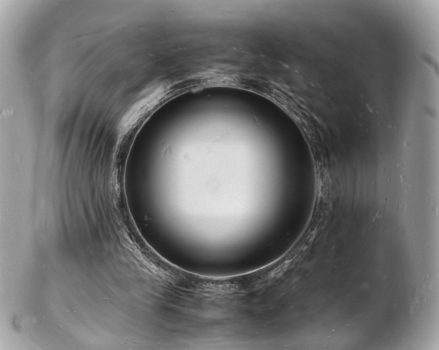 X0000103290245200808291339