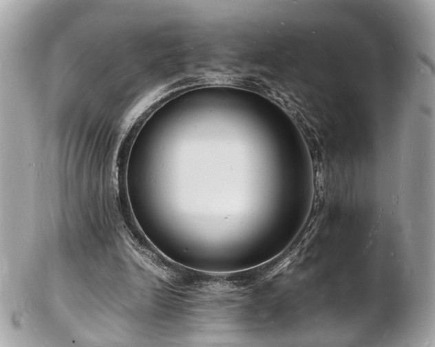 X0000103290246200808291339