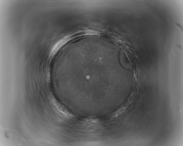 X0000103290247200808291339