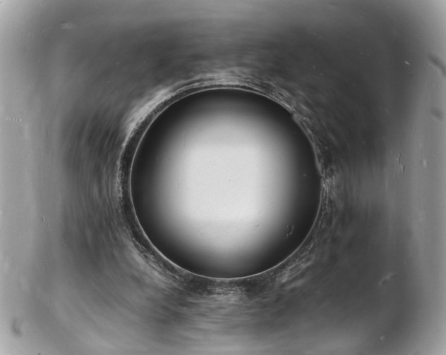 X0000103290248200808291339