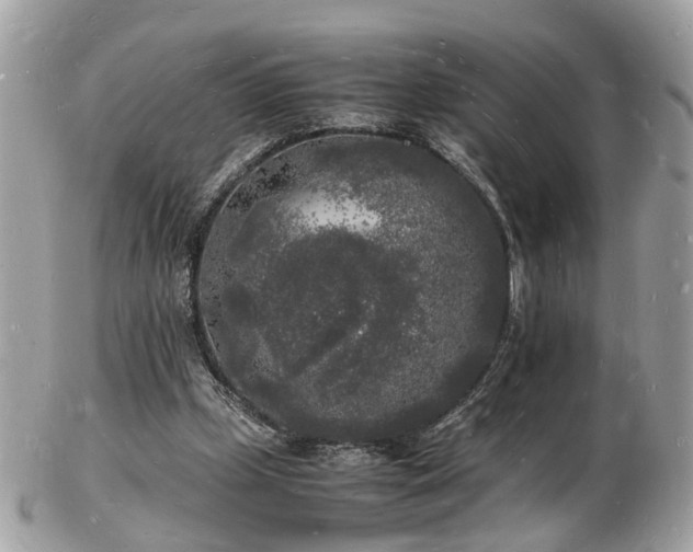 X0000103290249200808291339