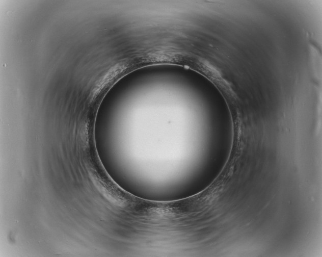 X0000103290250200808291339