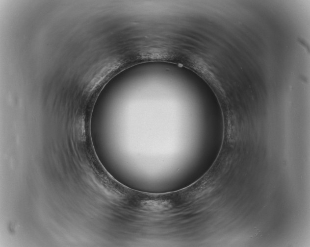 X0000103290251200808291339