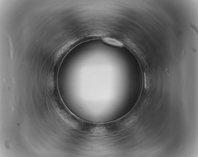 X0000103290252200808291340