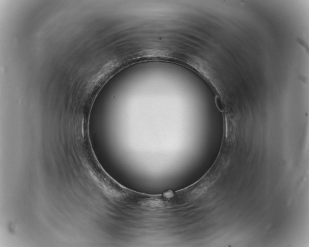 X0000103290253200808291340