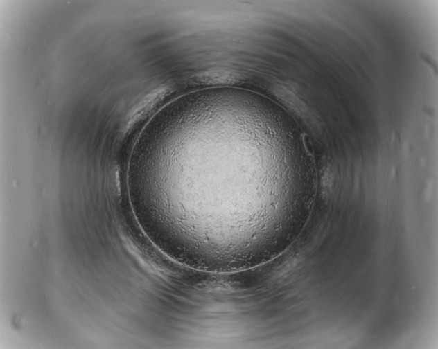 X0000103290254200808291340