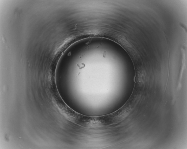 X0000103290256200808291340