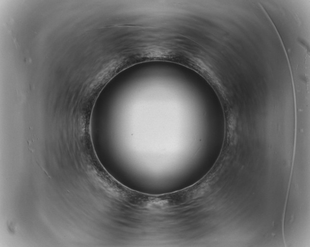 X0000103290257200808291340