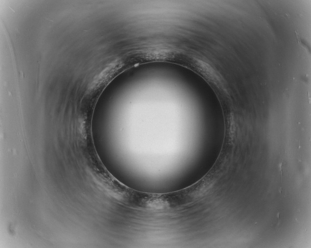 X0000103290258200808291340