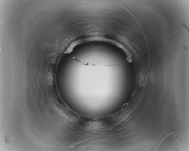 X0000103290259200808291340