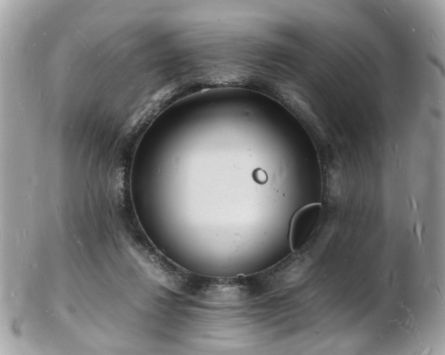 X0000103290260200808291340