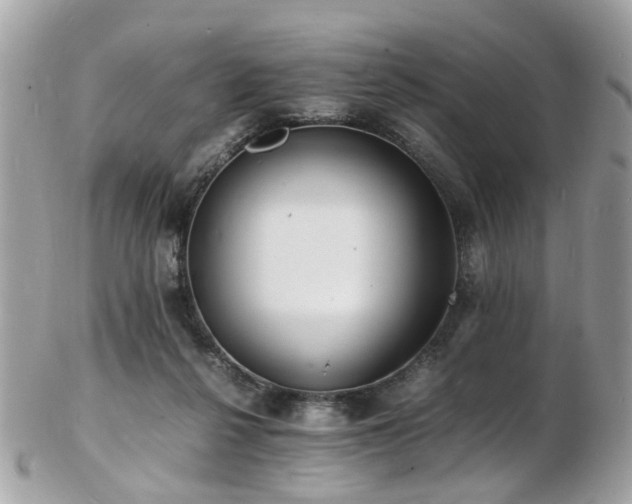 X0000103290264200808291340