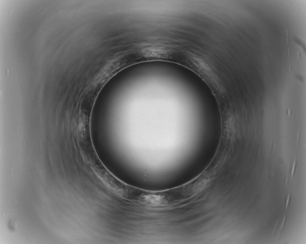 X0000103290265200808291340