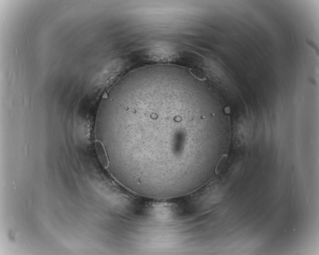 X0000103290268200808291340