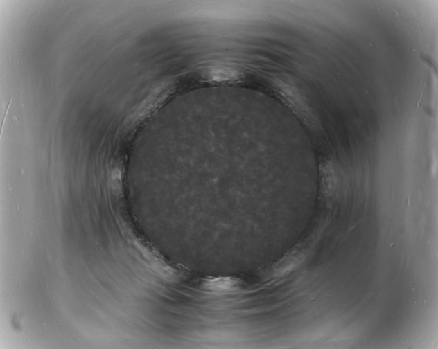 X0000103290269200808291340