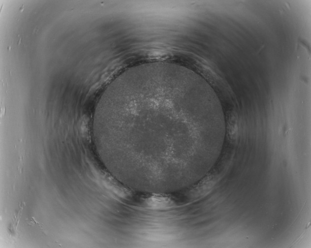 X0000103290270200808291340