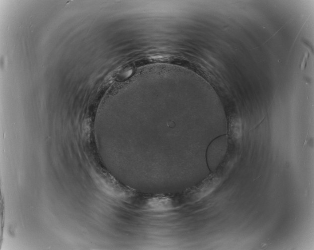 X0000103290271200808291340