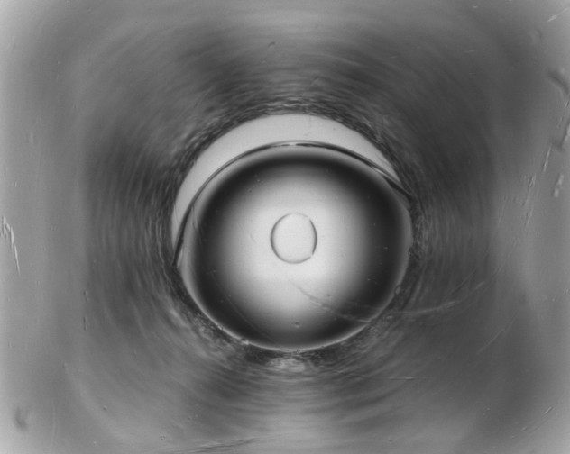 X0000103290272200808291340