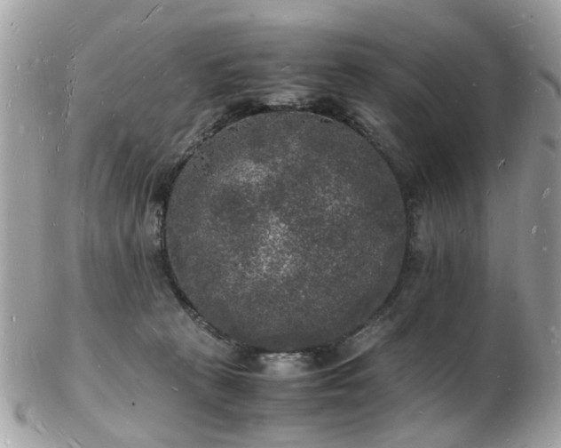 X0000103290273200808291340