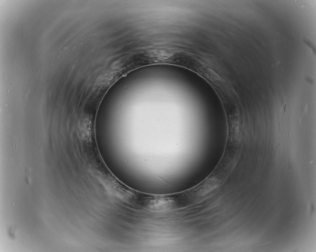 X0000103290274200808291340