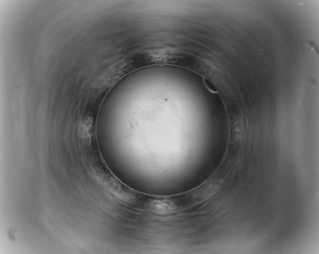 X0000103290275200808291340