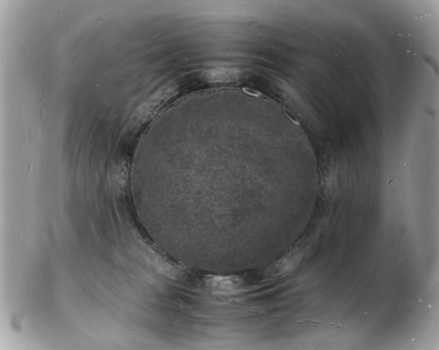 X0000103290277200808291340