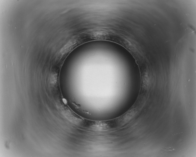 X0000103290278200808291340