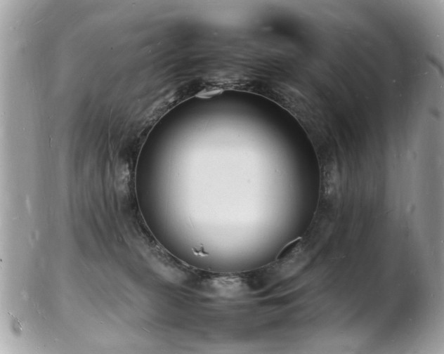 X0000103290279200808291340