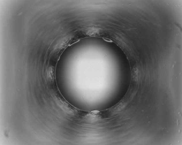 X0000103290280200808291340