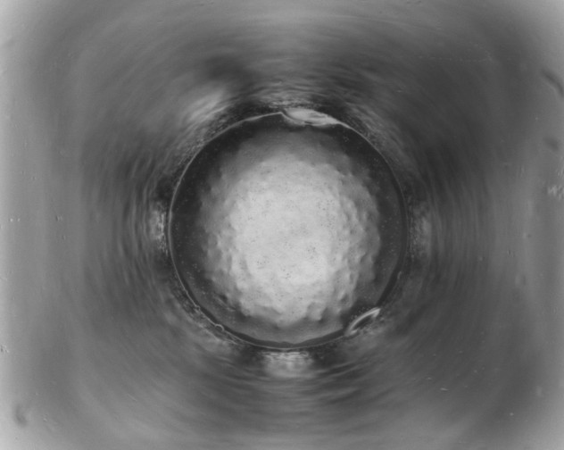 X0000103290281200808291340