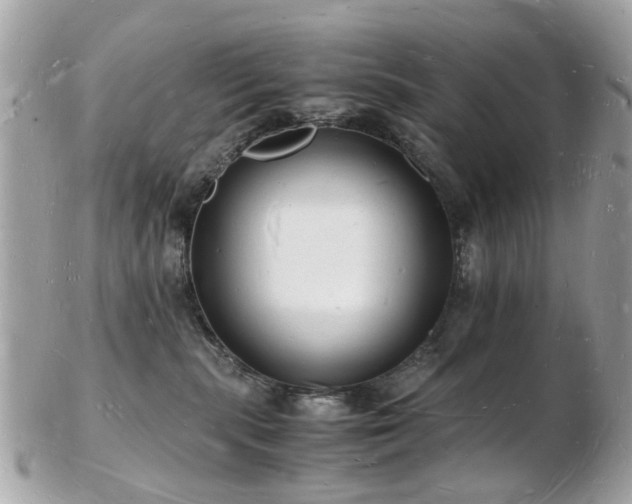 X0000103290283200808291340