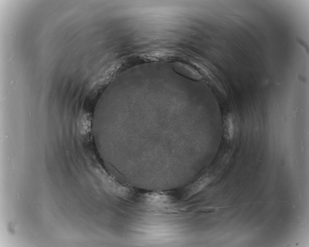 X0000103290284200808291340