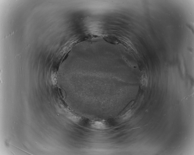 X0000103290285200808291340