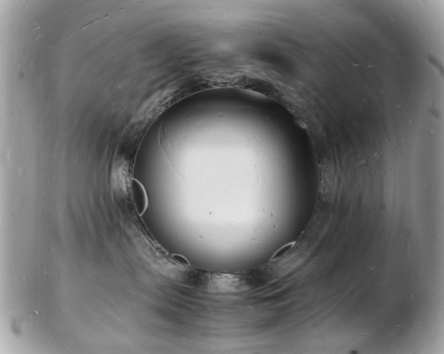 X0000103290287200808291340