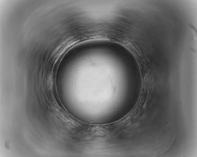 X0000103290290200808291339