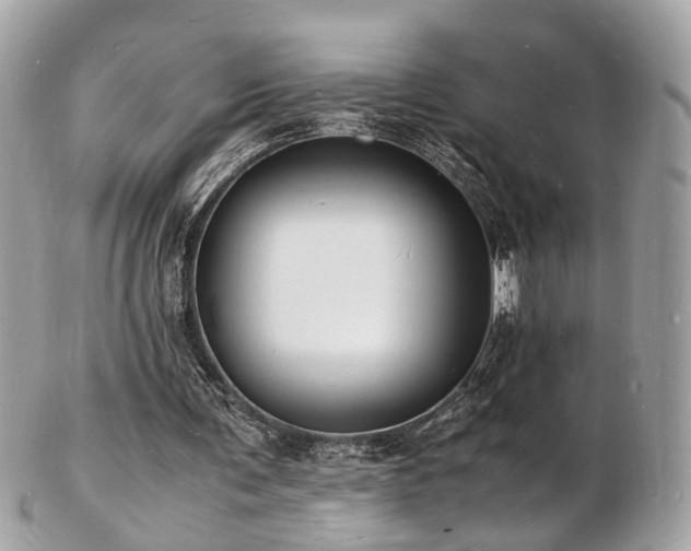 X0000103290291200808291339