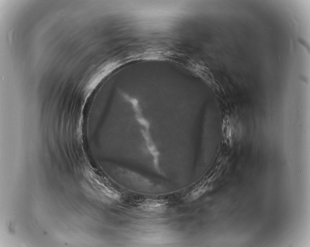 X0000103290292200808291339