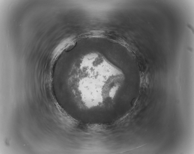 X0000103290293200808291339