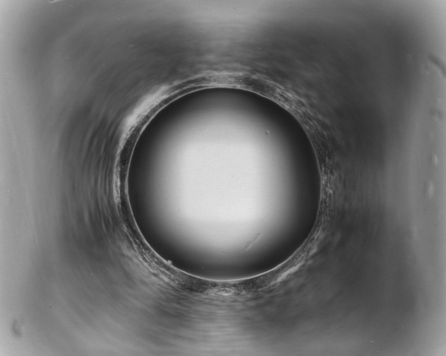 X0000103290294200808291339