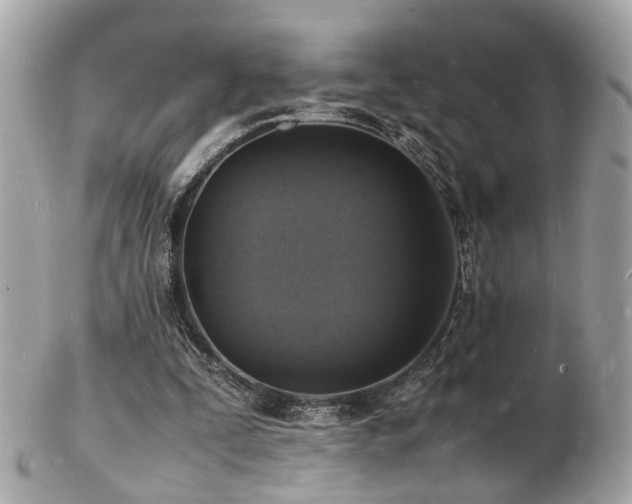 X0000103290295200808291339