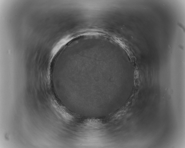 X0000103290296200808291339