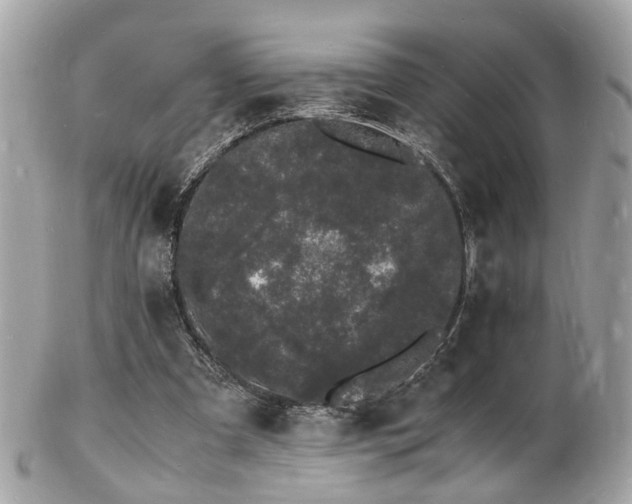 X0000103290297200808291339