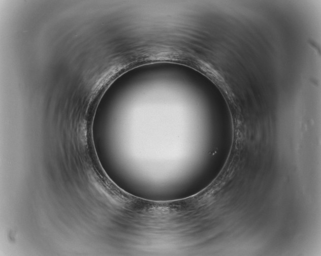 X0000103290298200808291339