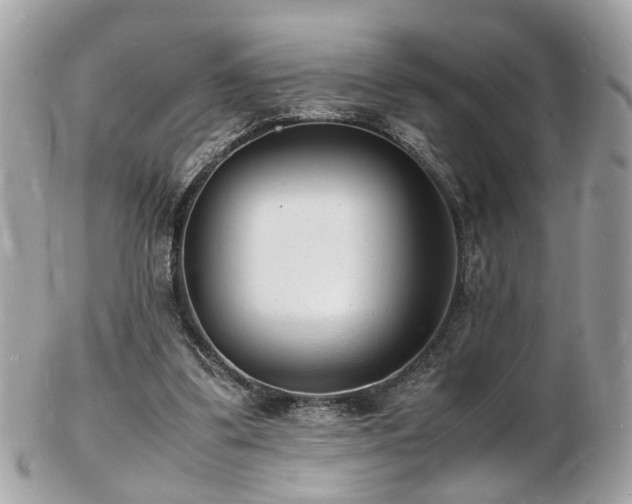 X0000103290299200808291339