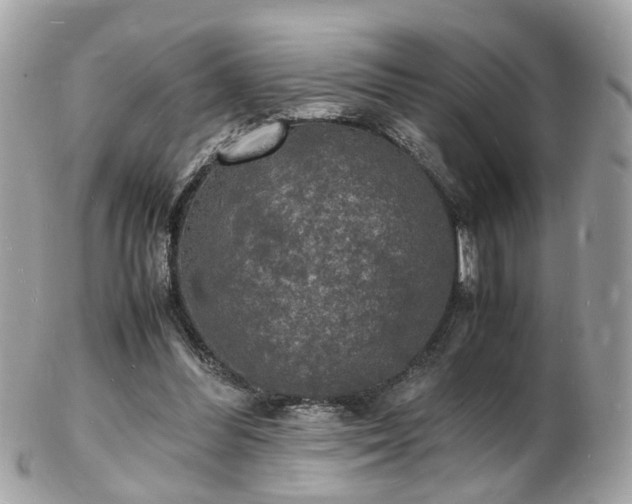 X0000103290300200808291339